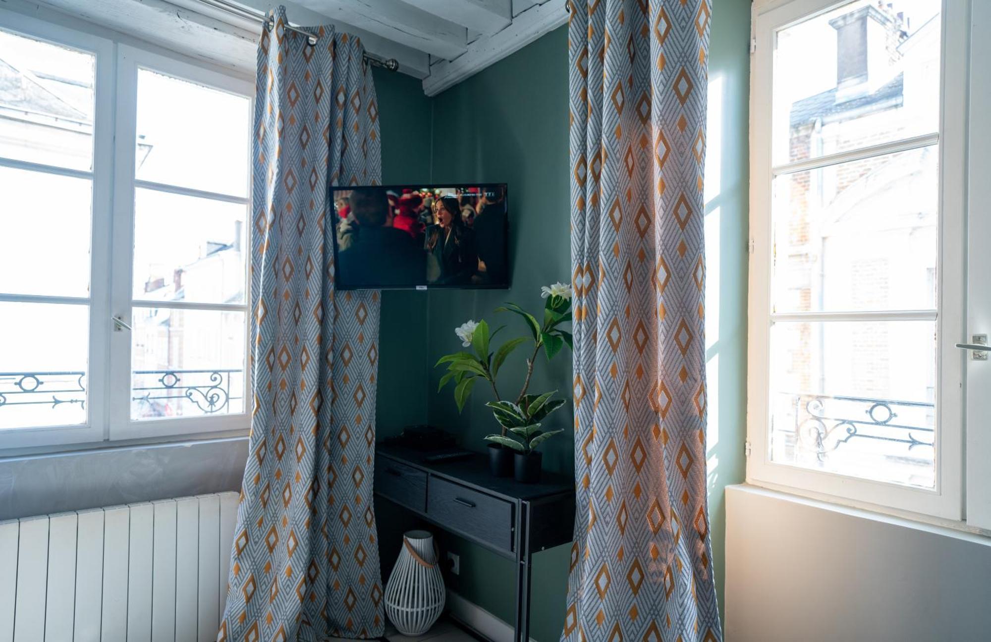 CELESTE APPART - grand appartement centre ville Orléans Extérieur photo